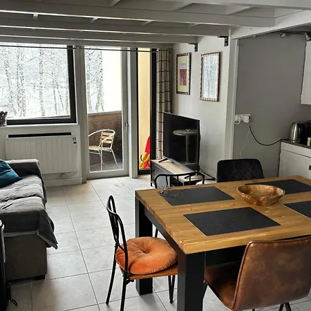 Appartement Grand Roc - Ancolies 018 - Happy Chamonix